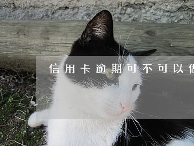 信用卡逾期可不可以做美容分期 信用卡逾期可不可以做美容分期