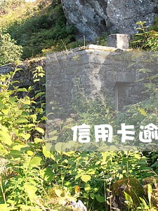 信用卡逾期可不可以停息挂账 信用卡逾期可不可以停息挂账