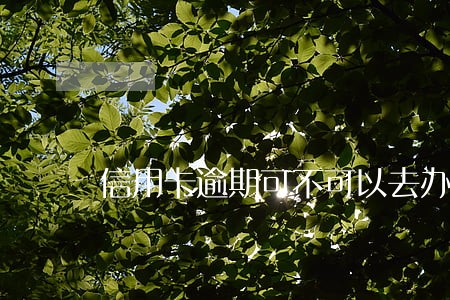 信用卡逾期可不可以去办理储存卡