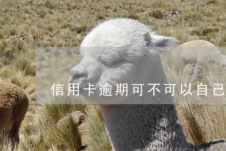 信用卡逾期可不可以自己报案