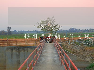 信用卡逾期可不可跟银行商 信用卡逾期可不可跟银行商