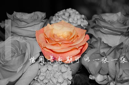 信用卡逾期可以一张一张还吗 信用卡逾期可以一张一张还吗