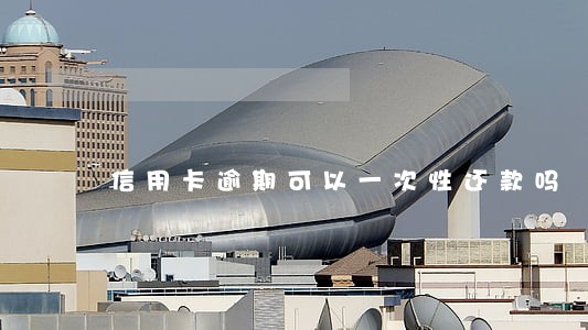 信用卡逾期可以一次性还款吗 信用卡逾期可以一次性还款吗