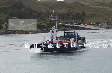 信用卡逾期可以一次还款吗