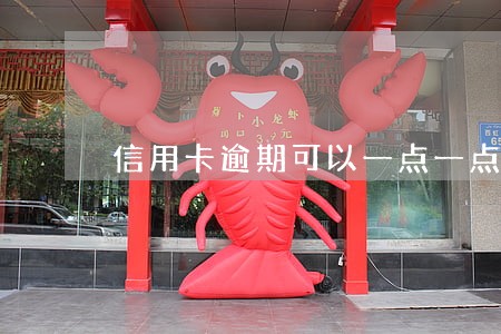 信用卡逾期可以一点一点还款