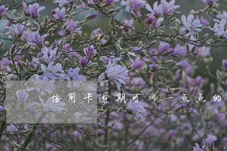 信用卡逾期可以一点点的还吗 信用卡逾期可以一点点的还吗