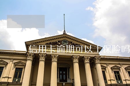信用卡逾期可以上保险吗 信用卡逾期可以上保险吗