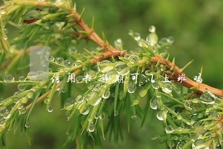 信用卡逾期可以上班吗 信用卡逾期可以上班吗