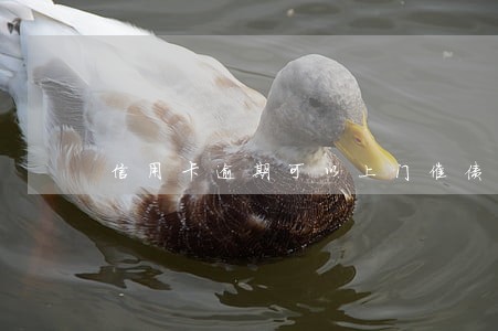 信用卡逾期可以上门催债吗