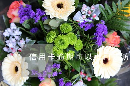 信用卡逾期可以上门走访吗 信用卡逾期可以上门走访吗