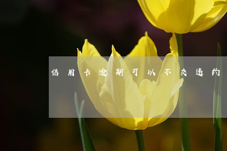信用卡逾期可以不交违约金吗 信用卡逾期可以不交违约金吗