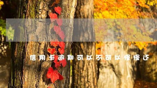 信用卡逾期可以不可以慢慢还 信用卡逾期可以不可以慢慢还