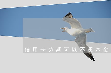 信用卡逾期可以不还本金吗 信用卡逾期可以不还本金吗