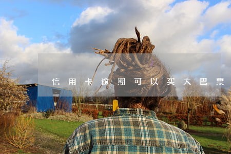 信用卡逾期可以买大巴票吗 信用卡逾期可以买大巴票吗