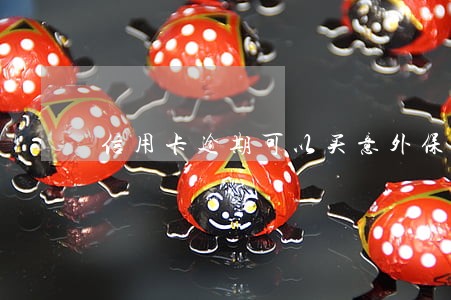 信用卡逾期可以买意外保险么 信用卡逾期可以买意外保险么