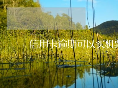 信用卡逾期可以买机票 信用卡逾期可以买机票