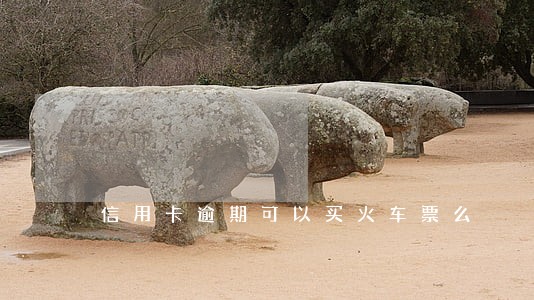 信用卡逾期可以买火车票么 信用卡逾期可以买火车票么