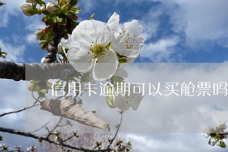 信用卡逾期可以买舱票吗 信用卡逾期可以买舱票吗