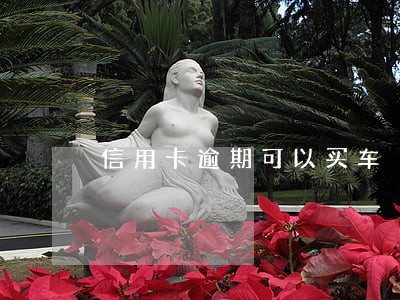 信用卡逾期可以买车 信用卡逾期可以买车