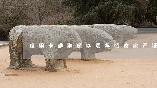 信用卡逾期可以买车吗有房产证 信用卡逾期可以买车吗有房产证