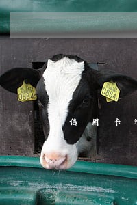信用卡逾期可以买高铁票吗6