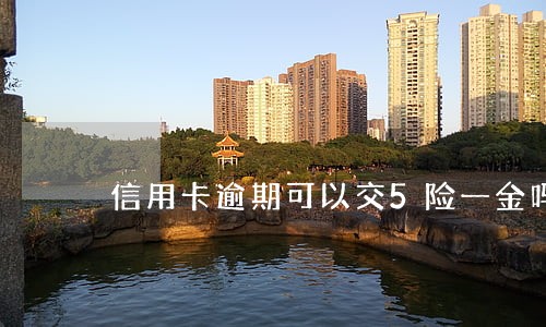 信用卡逾期可以交5险一金吗 信用卡逾期可以交5险一金吗