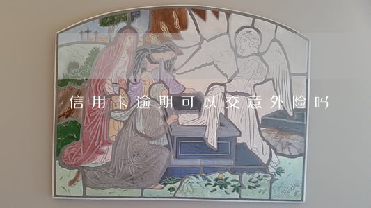 信用卡逾期可以交意外险吗 信用卡逾期可以交意外险吗