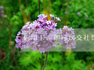 信用卡逾期可以交社保吗 信用卡逾期可以交社保吗