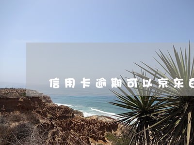 信用卡逾期可以京东白条吗 信用卡逾期可以京东白条吗