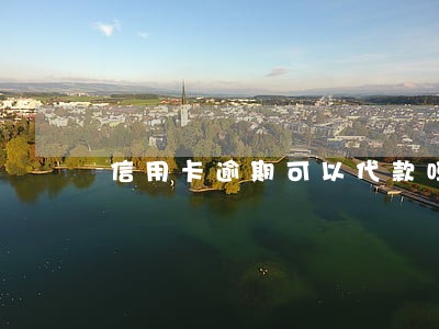 信用卡逾期可以代款吗