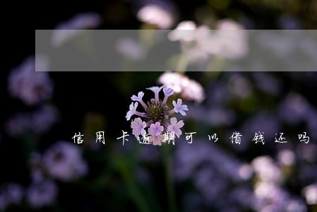 信用卡逾期可以借钱还吗 信用卡逾期可以借钱还吗