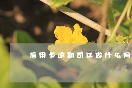 信用卡逾期可以做什么网贷吗 信用卡逾期可以做什么网贷吗