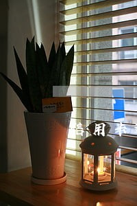 信用卡逾期可以做代驾司机吗