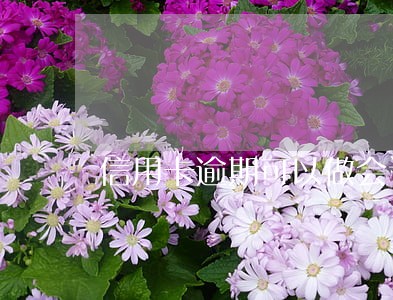 信用卡逾期可以做会计么 信用卡逾期可以做会计么