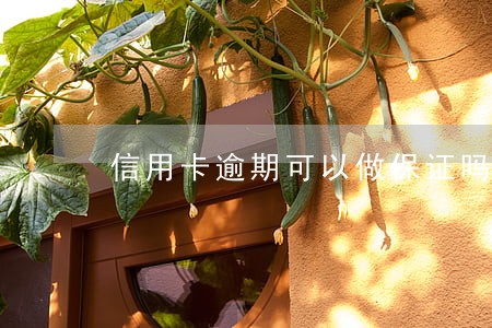 信用卡逾期可以做保证吗