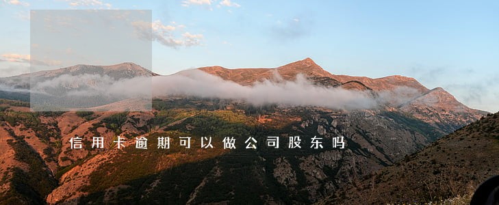 信用卡逾期可以做公司股东吗 信用卡逾期可以做公司股东吗