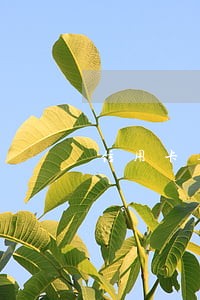 信用卡逾期可以做多久的分期 信用卡逾期可以做多久的分期