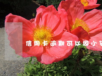信用卡逾期可以做小贷吗 信用卡逾期可以做小贷吗