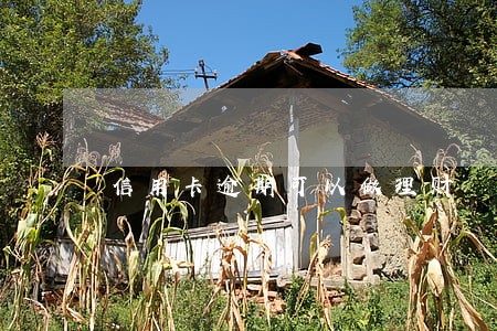 信用卡逾期可以做理财 信用卡逾期可以做理财