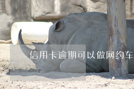 信用卡逾期可以做网约车吗 信用卡逾期可以做网约车吗