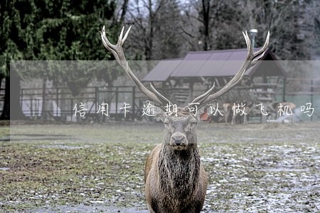 信用卡逾期可以做飞机吗 信用卡逾期可以做飞机吗