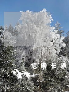 信用卡逾期可以停催 信用卡逾期可以停催