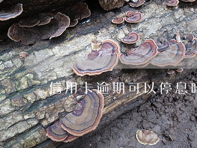 信用卡逾期可以停息吗