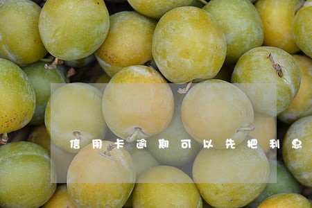 信用卡逾期可以先把利息还了吗