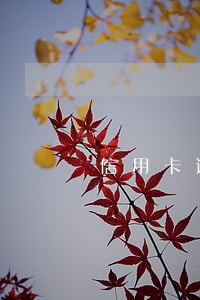 信用卡逾期可以再用吗