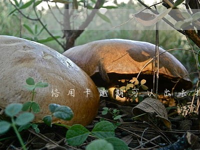 信用卡逾期可以出去打工吗