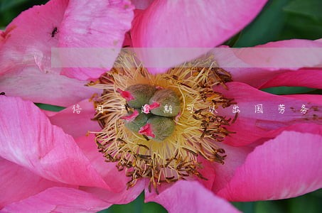 信用卡逾期可以出国劳务