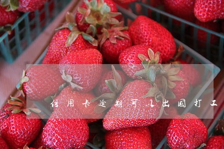 信用卡逾期可以出国打工吗 信用卡逾期可以出国打工吗