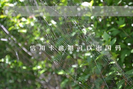 信用卡逾期可以出国码 信用卡逾期可以出国码