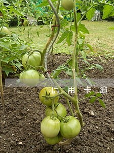 信用卡逾期可以分两次结清 信用卡逾期可以分两次结清